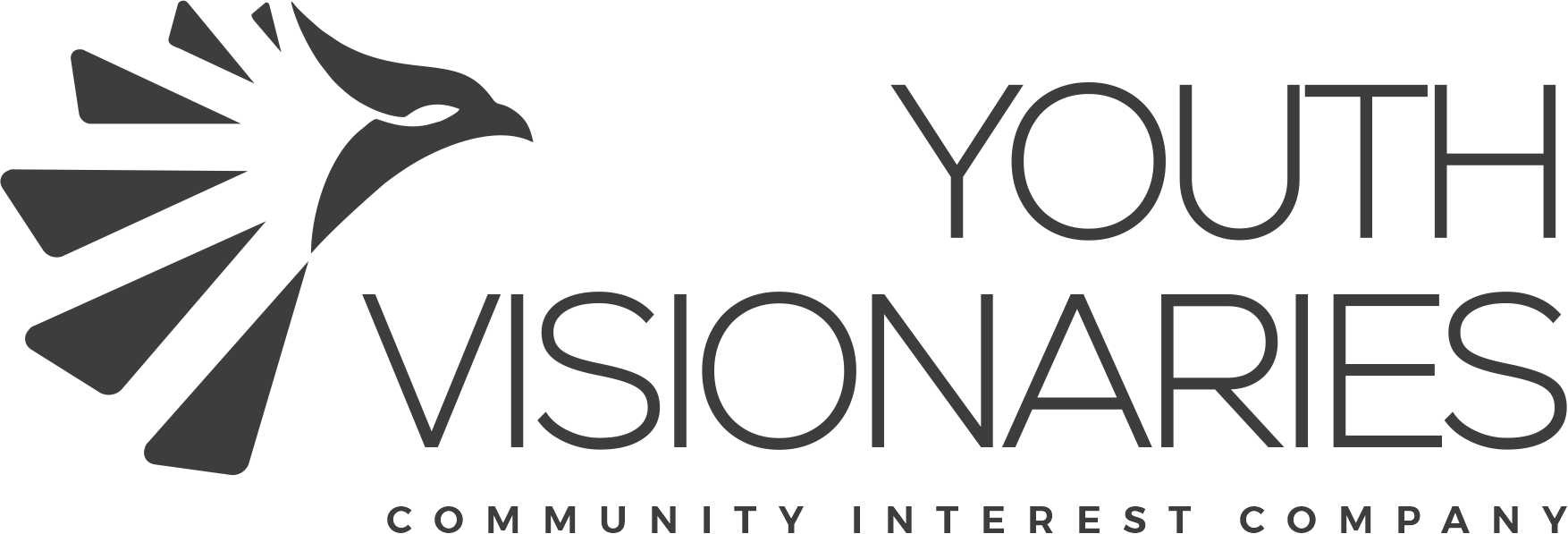 Youth Visionaries Logo